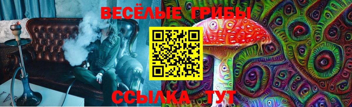 Псилоцибиновые грибы Psilocybe  Вход с VPN  что такое наркотик  Воронеж 